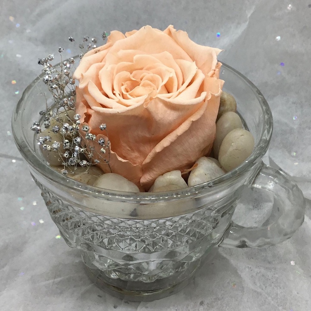Preserved Peach 🍑 Rose Tea Cup